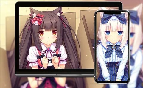Waifu love room android