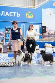 Эксперт класса