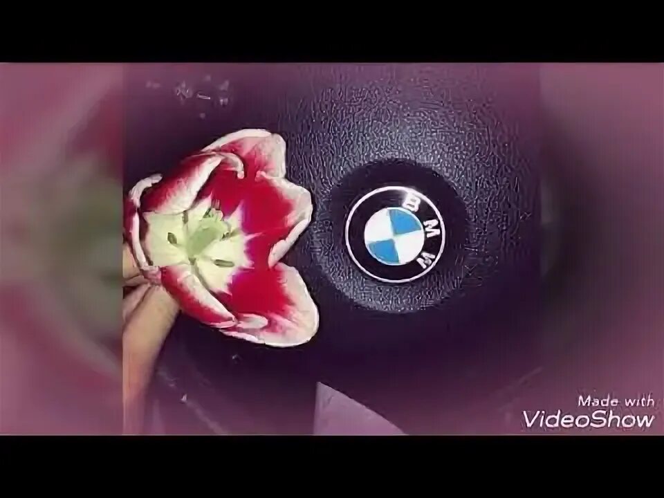 Несколько слов в мыслях, от которых бьется сердце чаще. У МЕНЯ В МАШИНЕ ЕСТЬ ВКУ