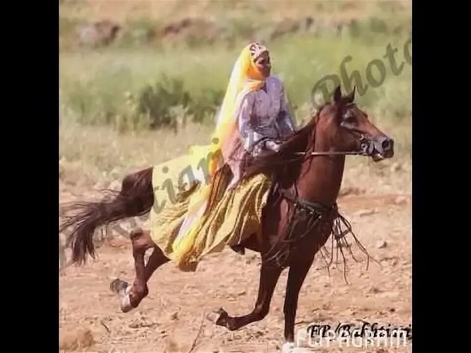 Кочевница содержание. Ты кочевниц. старая кочевница.