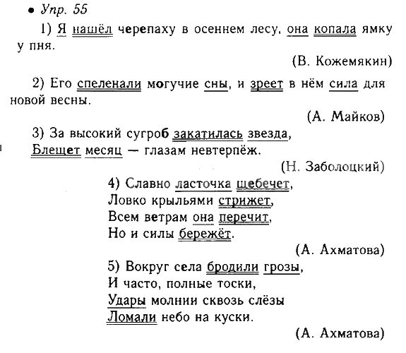 упражнение 55 русский 5 класс
