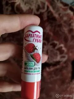 Бархатные губки
