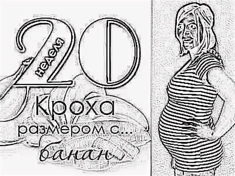Забеременела в 20. Размер живота на 20 неделе беременности. Беременный 19 неделя картинки.