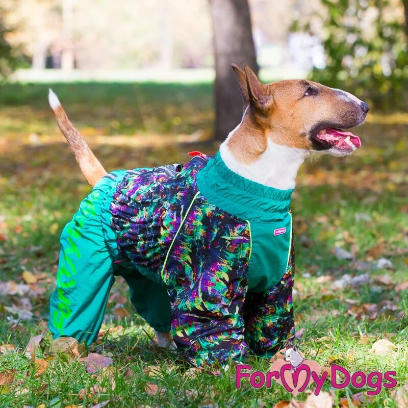 My dogs 3. Formydogs зимний комбинезон для собак. formydogs комбинезон для больших собак. комбинезон для стаффа. комбинезон для стаффа зимний.