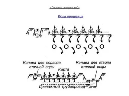 Очистка полей