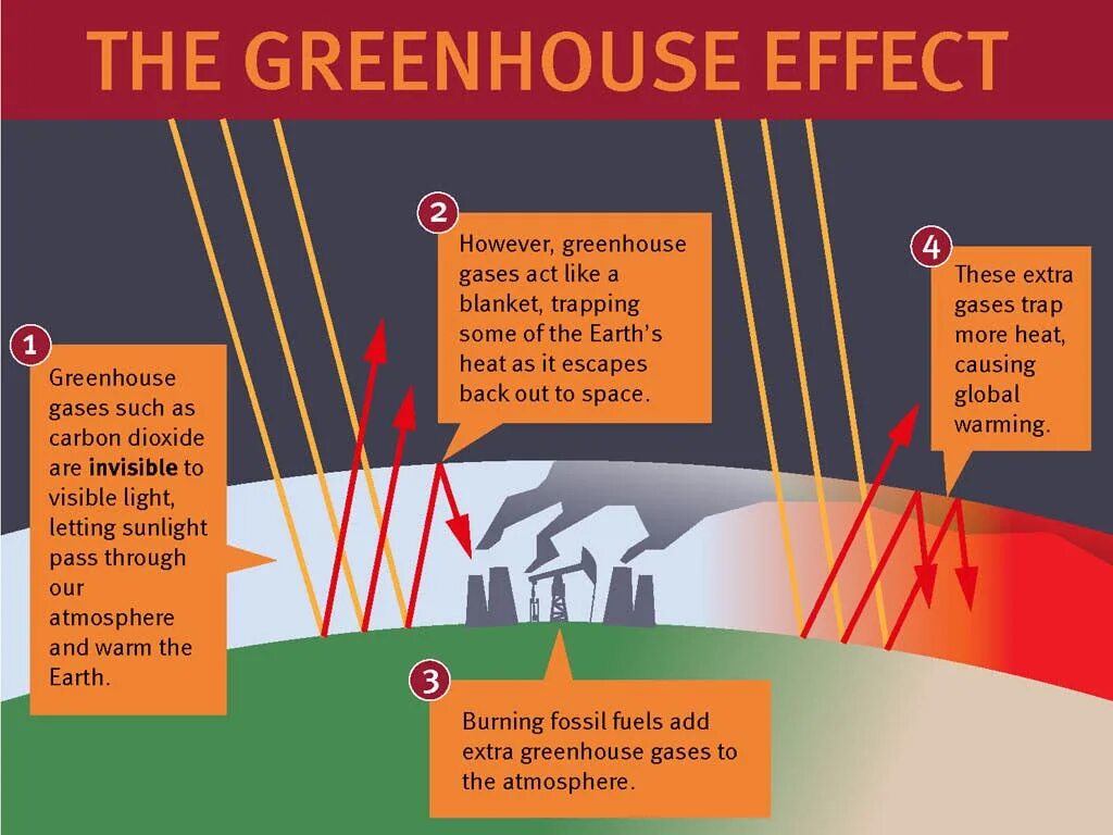 Some scientists doubt that global warming may. Greenhouse effect. greenhouse effect and global warming. what is greenhouse effect. greenhouse effect causes.