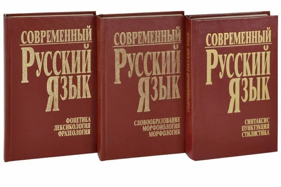 Методика преподавания рки. Словарь русского языка для иностранцев. Рки русский как иностранный. Иностранные слова в русском языке. Заимствование иностранных слов в русском языке.