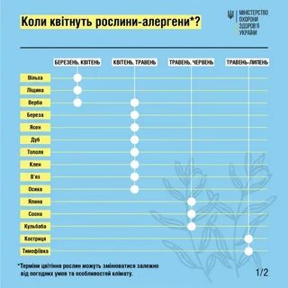 Календарь цветения березы 2024