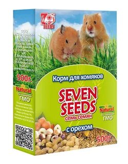 Hamster 7