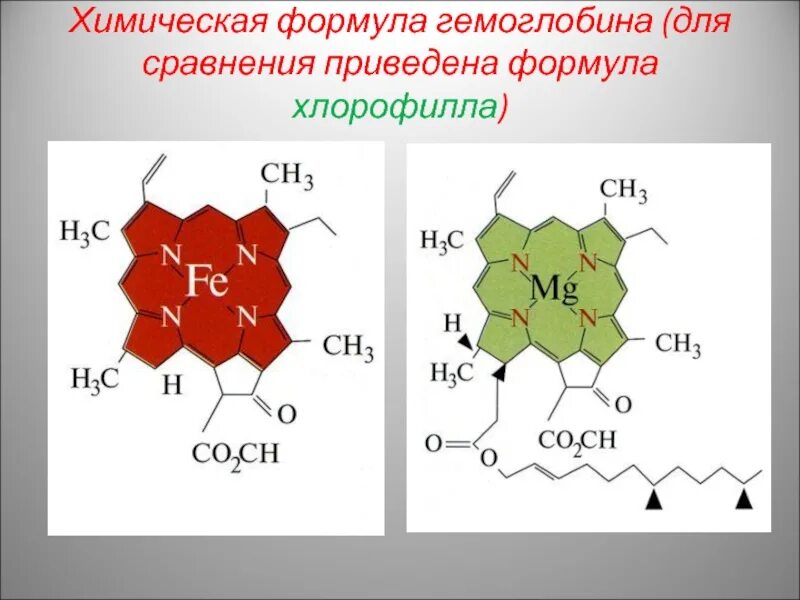 Элемент хлорофилла. Молекула хлорофилла формула. химическая формула хлорофилла и гемоглобина. хлорофилл формула химическая структура. формула гемоглобина и хлорофилла.