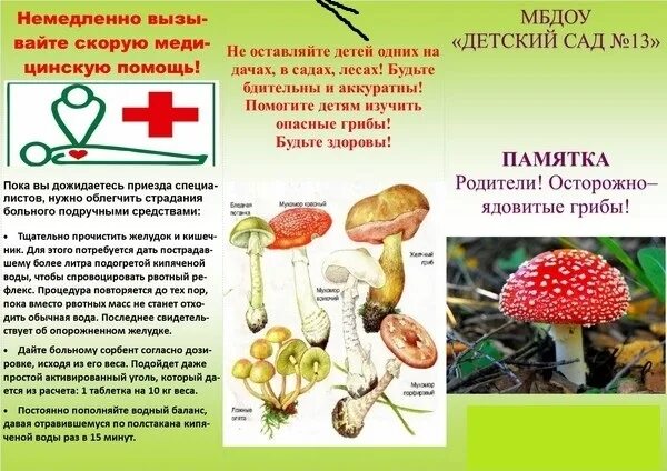 Чем опасно отравление ядовитыми грибами