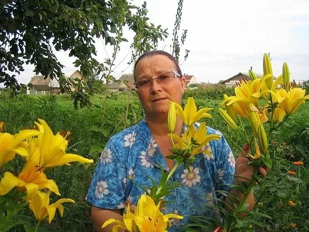 Погода шабанова. Погода шабанова. Погода шабанова. Погода шабанова. Демирова амият фейзудиновна дгту.