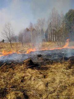 Смоленск обстановка