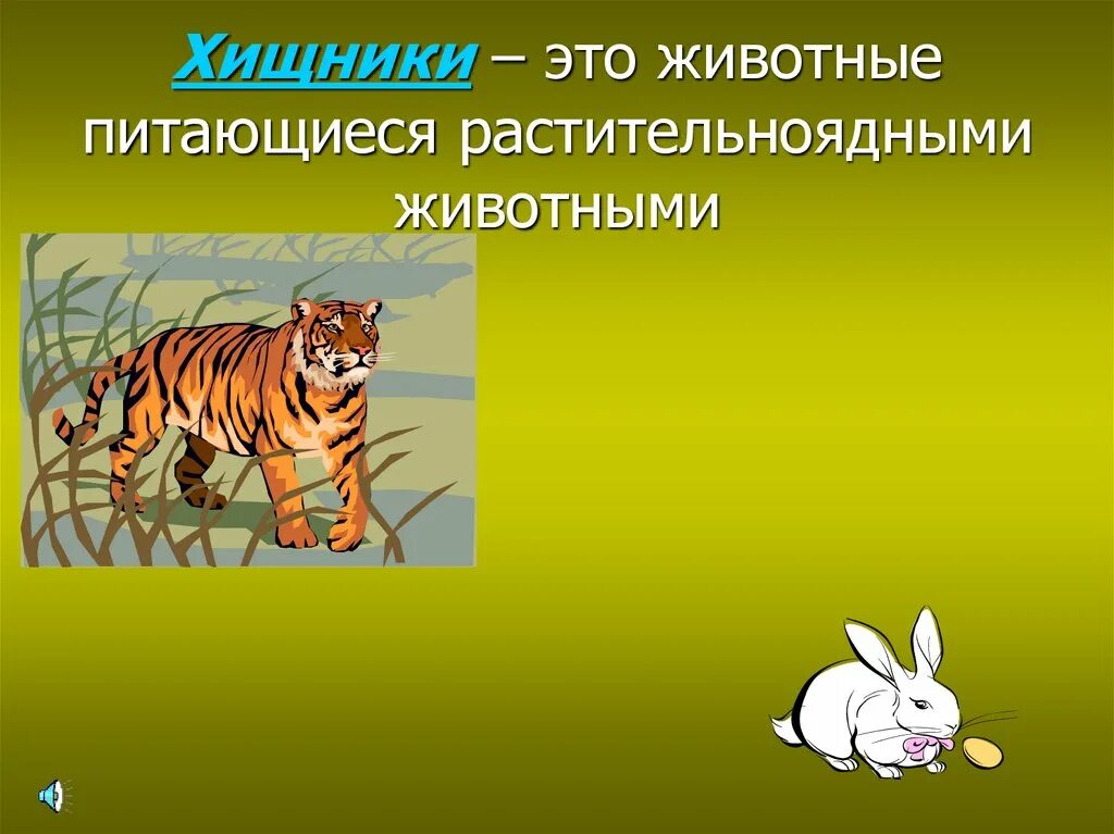 Как животные питаются 3 класс окружающий. Плотоядные животные, питающиеся растительноядными.. Хищники питающиеся растительноядными животными. Чем питаются растительноядные животные. Чем питаются Хищные животные.