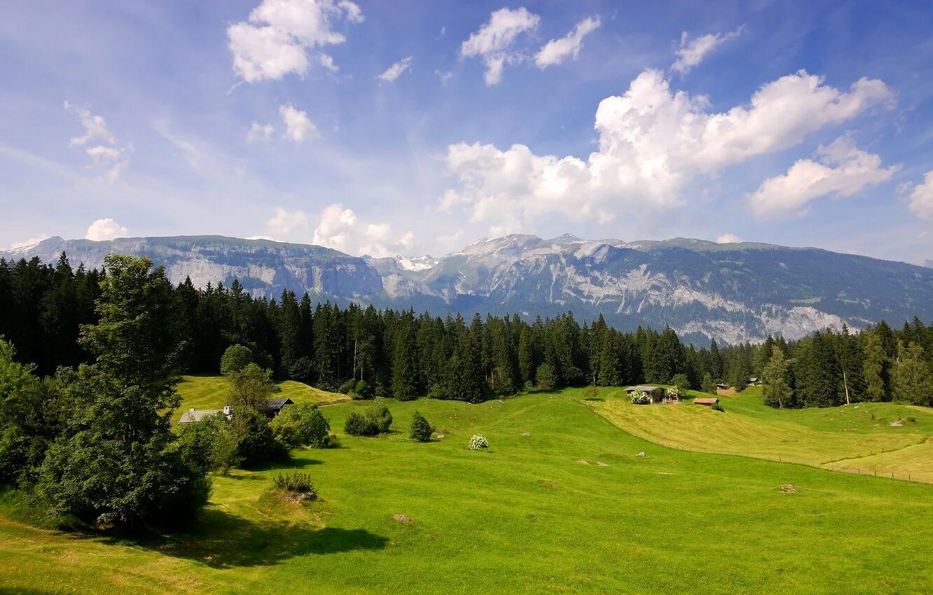 Осень в горах. Трава поляна. Природа башкирии луга поляна. Лесное озеро адыгея. Лес поля моря и горы.