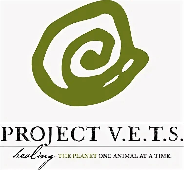 S project v. Project v. pv logo.