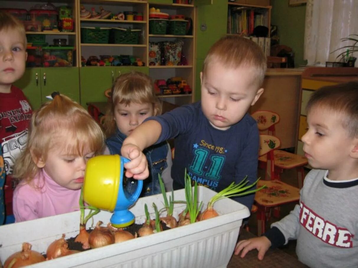 Дети сажают лук в детском саду.