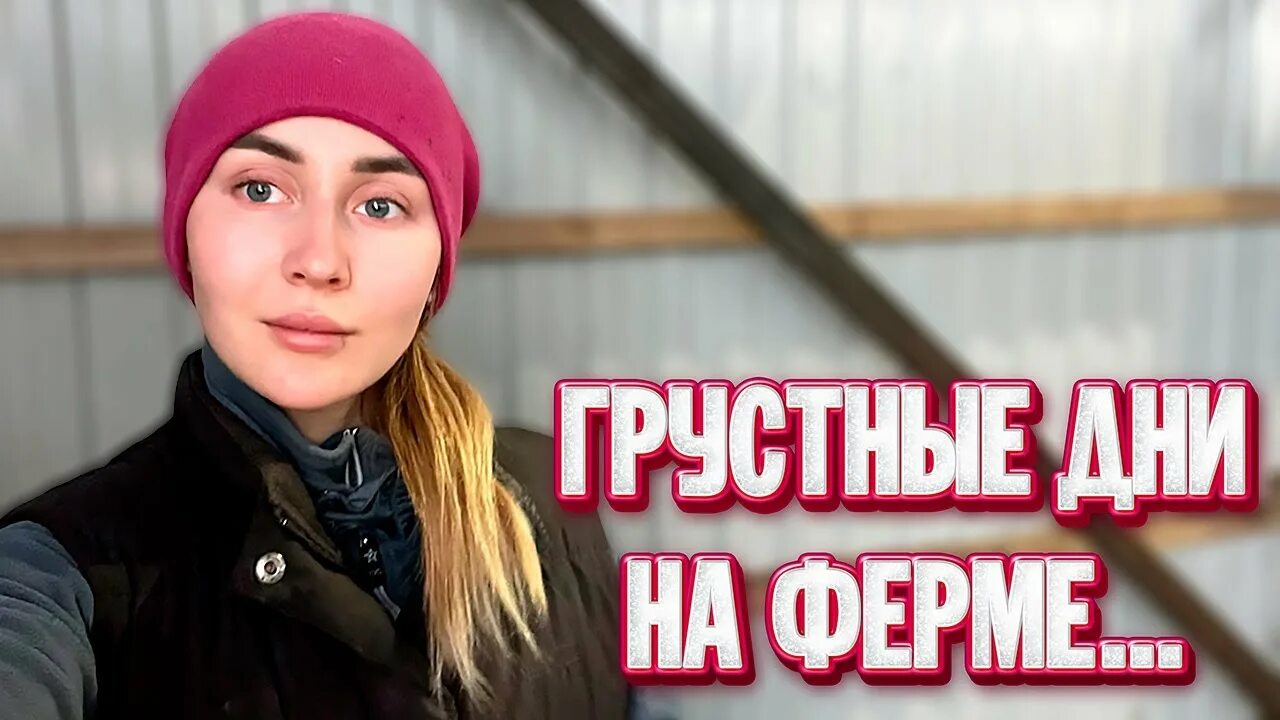 Молодая ферма последнее видео. День доярки. Молодая ферма. Молодая ферма. Молодая ферма.