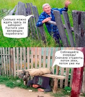 Очередь за забором