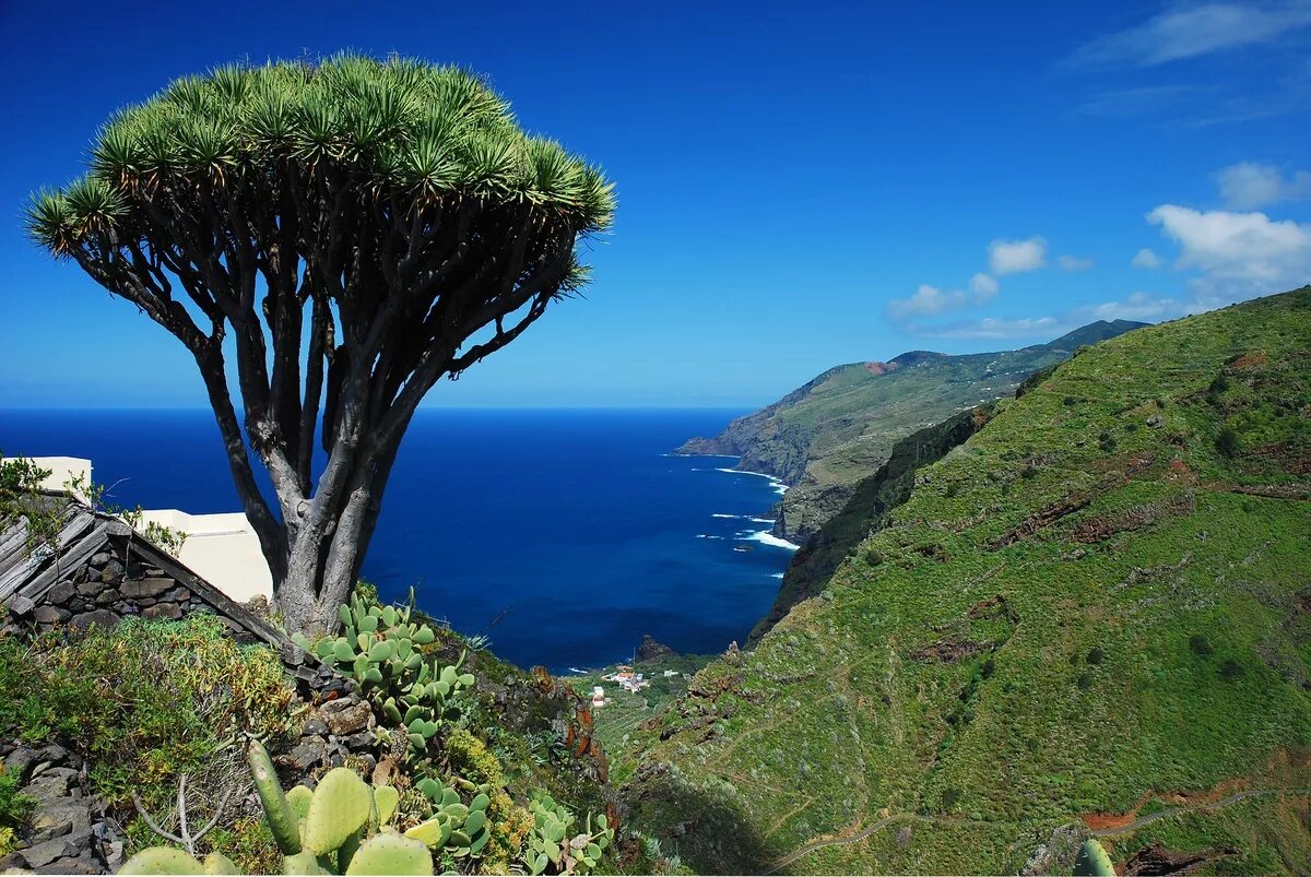 Ла Пальма Канарские острова. Ла Гомера Канарские острова. La Palma остров в Испании. Остров Пальма Тенерифе.