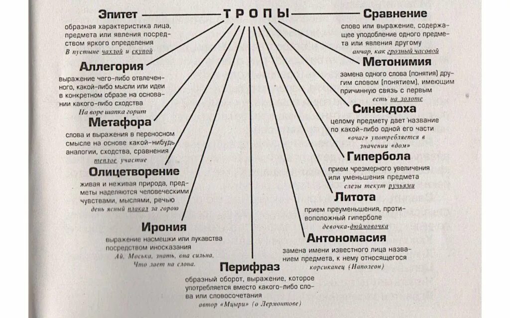 Соответствие текста термин