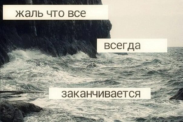 Насколько тонко. Жаль. Мне очень жаль картинки. Жаль что всё закончилось. Стих жаль что так получилось.