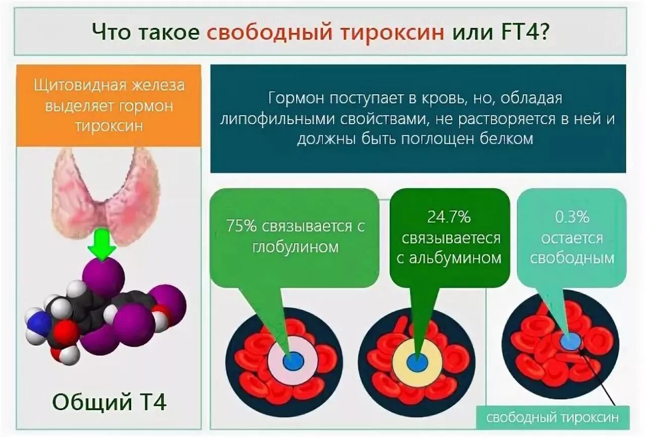 Что дает четыре свободный