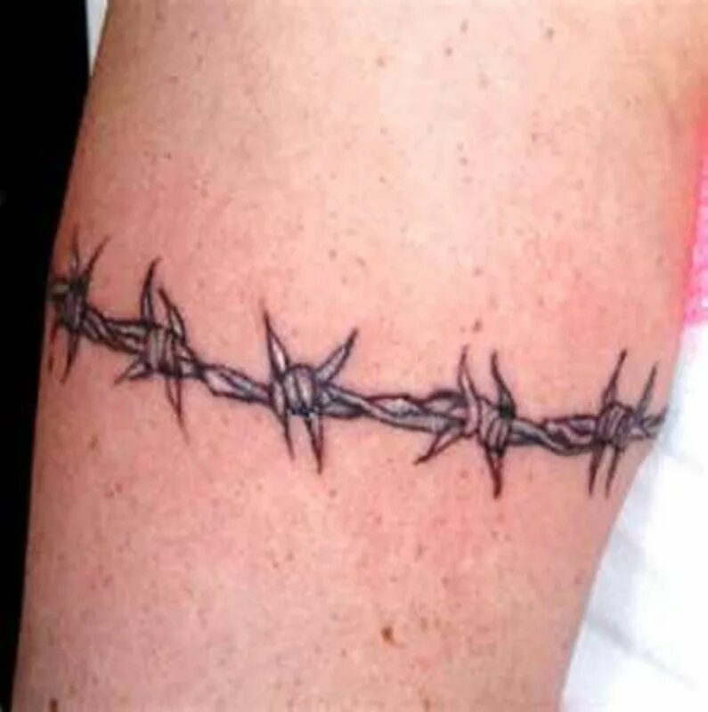 тату проволока. колюччая проводка таут. что означает колючая проволока тату на руке. тату колючая проволока на руке. тату колючая проволока на руке.