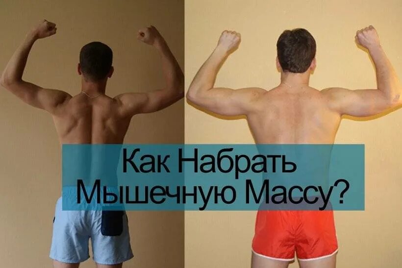 Как набрать мышечную массу. Как набрать мышечную массу девушке. как набирается масса мышц. как набрать вес в мышцах.
