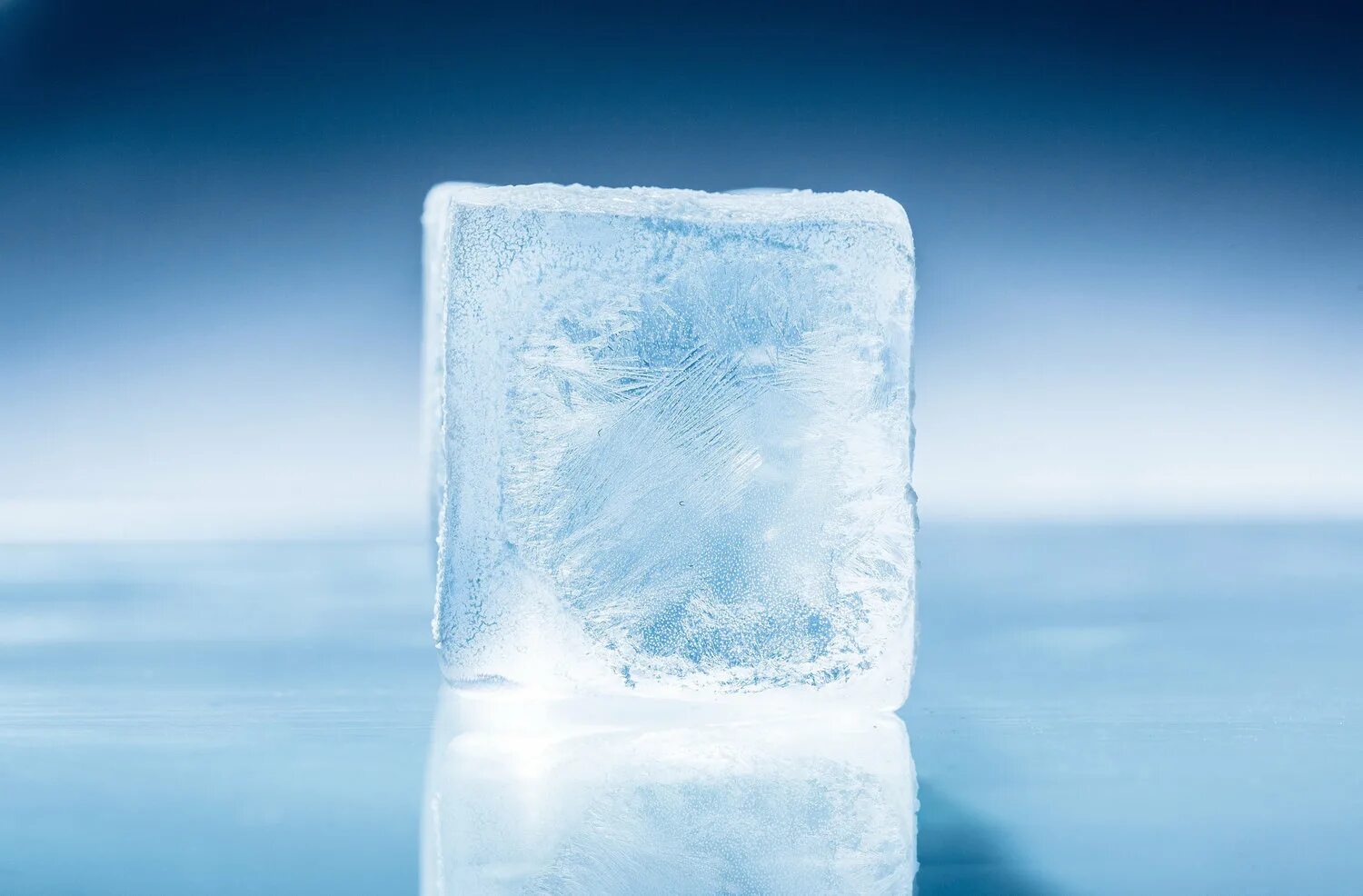 If you leave ice on the table. Ice cube. кубики льда. лед. ледяной кубик.