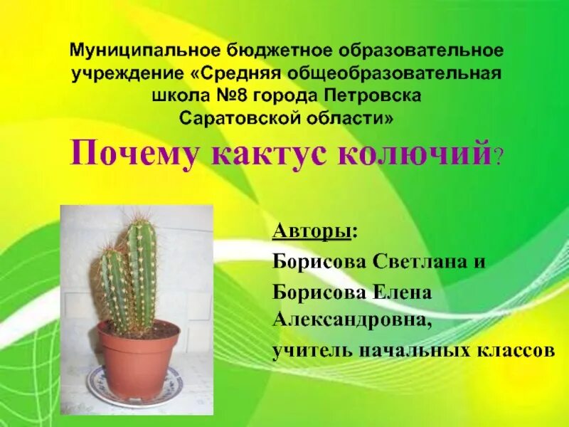 Сообщение о домашнем растении 2 класс