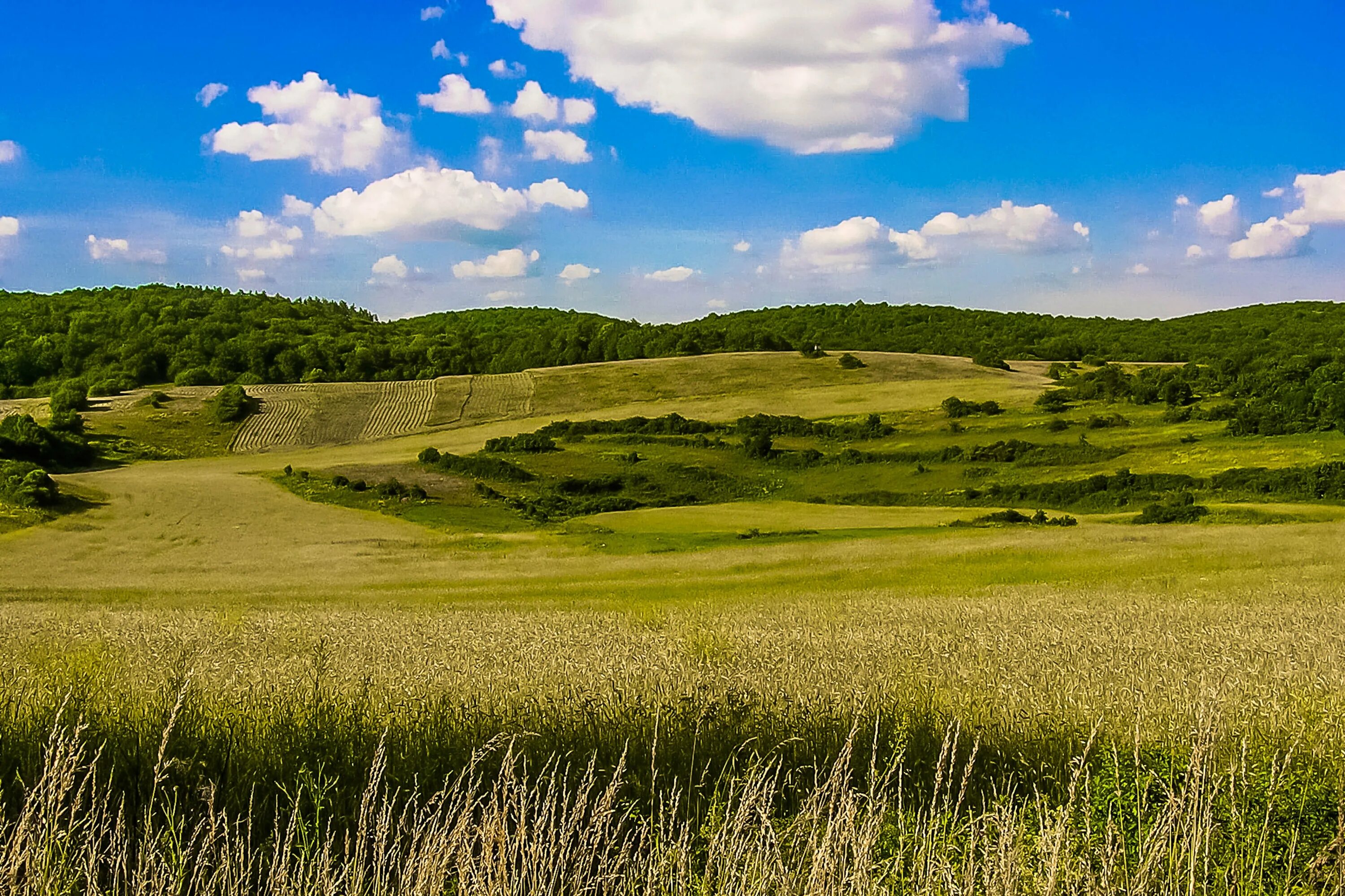 Поле ба. Холмистая равнина рельеф. Луговой пастбищный агроландшафт. Восточно-европейская равнина Холмистая. Зауральская Холмистая возвышенная равнина.