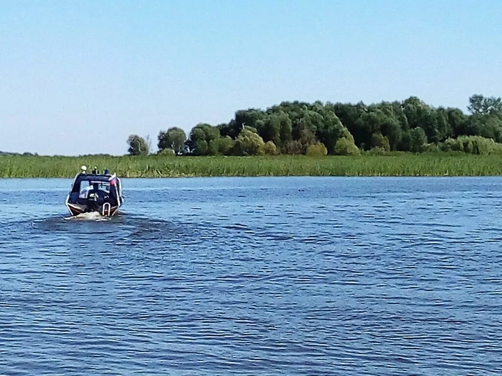 Озеро моховое габишево. Погода чистое озеро лаишевского. Озеро архиерейское тарлаши. Озеро чистое липецкая область. Озеро тарлаши казань.
