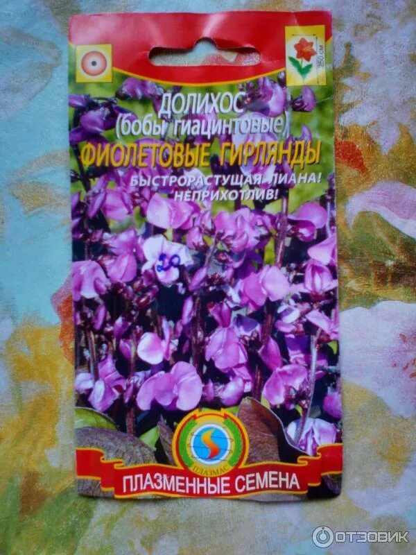 Долихос обыкновенный семена Питомник семян Орешка
