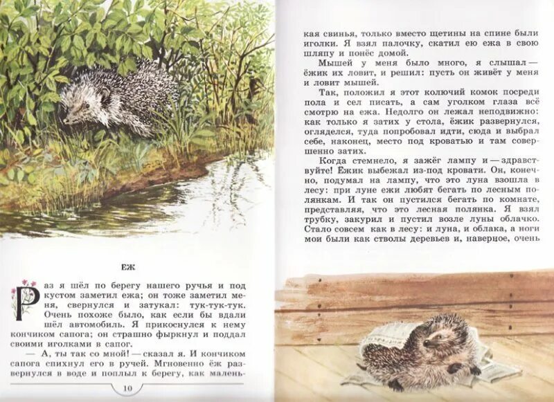 Рассказы о животных еж. Пришвин еж. ежик пришвин. рассказы о природе. пришвин книги для детей.