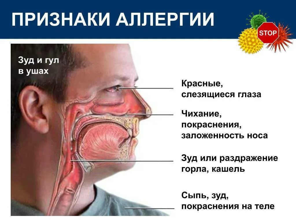 Заложенность носа и запах