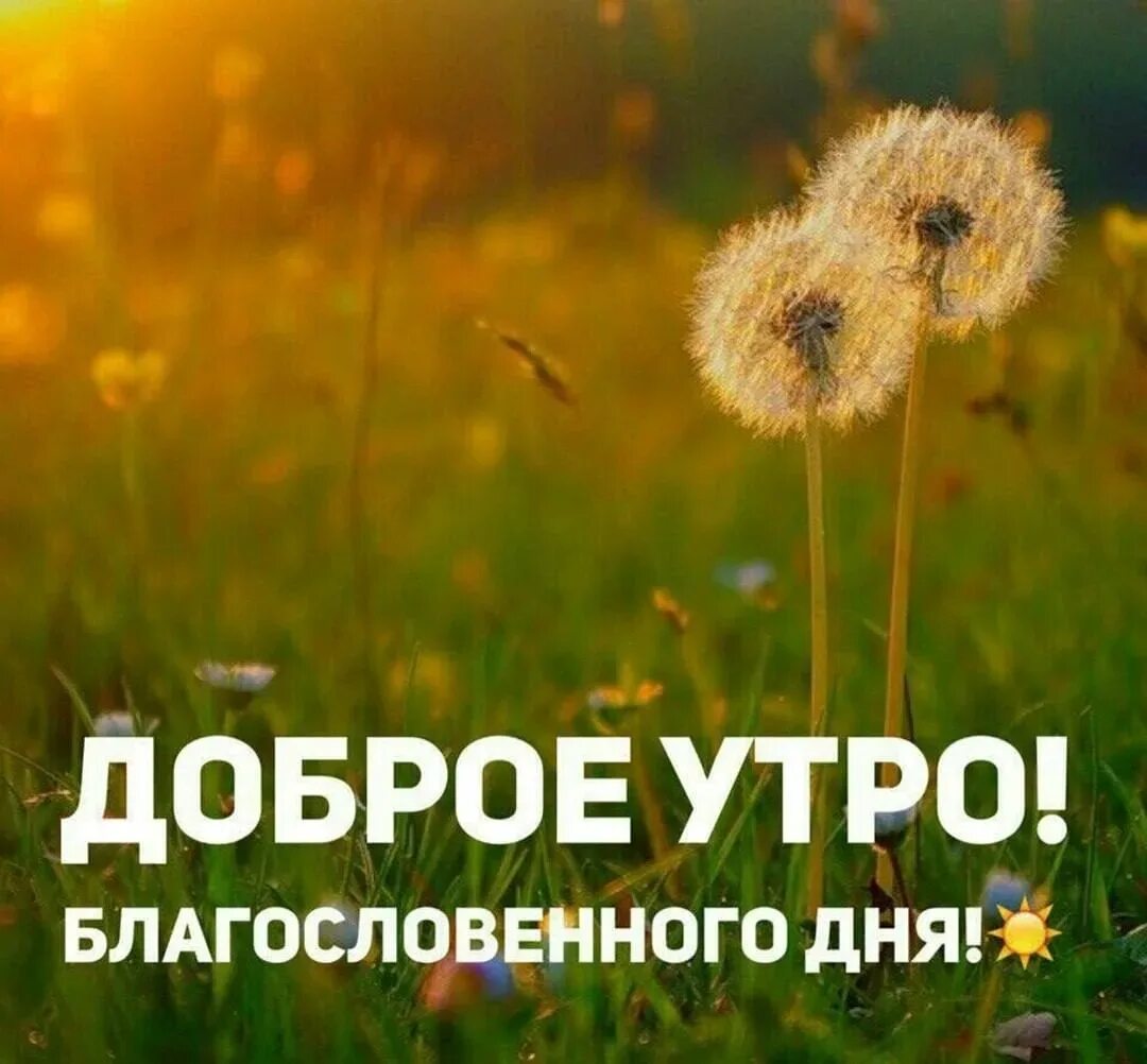 Pin von NATALIA auf С добрым утром благословений от Бога!