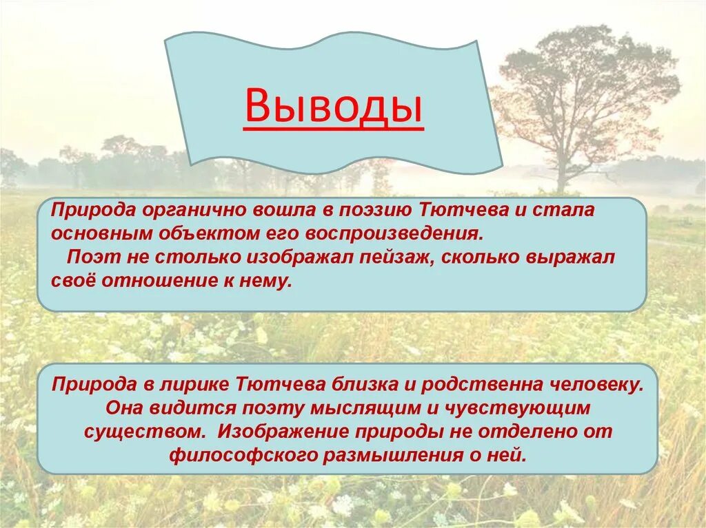 Сделайте выводы об особенностях