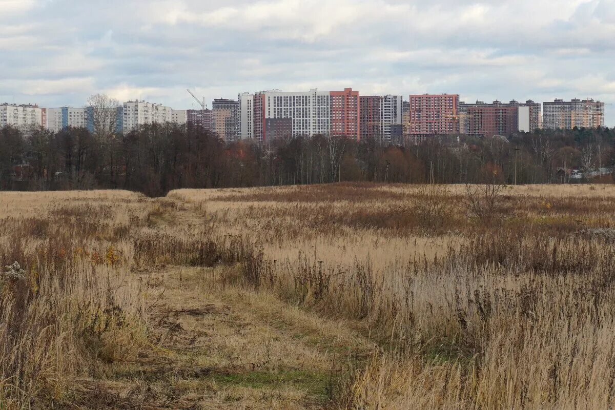 Под балашихой. Усадьба Зенино в Люберцах. Усадьба Зенино в Люберцах история. Усадьбы Балашихи мкрн Южный. Усадьба в Балашихе.