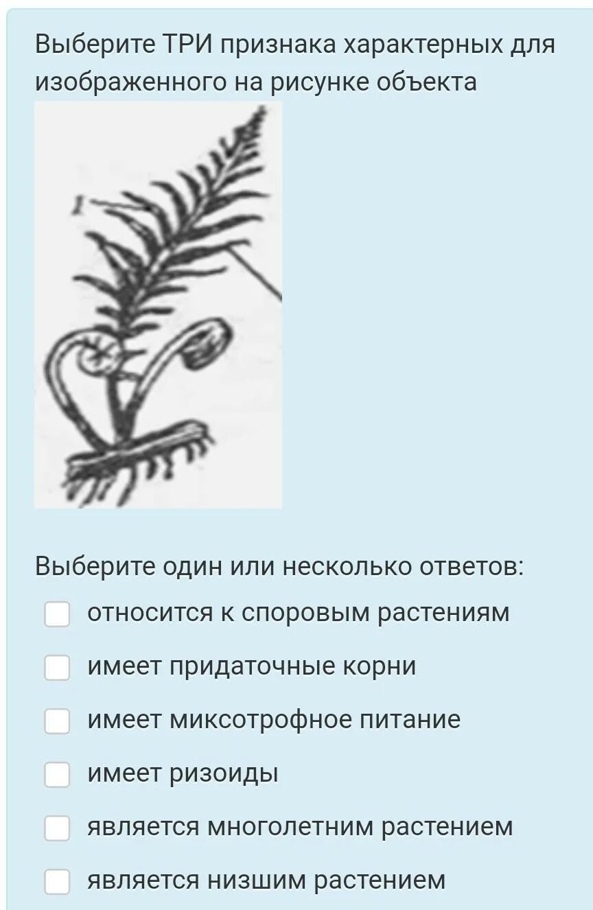 Три признака характерны для изображенного рисунка. Признаки характеризующие объект изображенный на рисунке. Какие признаки характерны для растения изображёенного на рисунк. Какие признаки характерны для растения, изображённого на рисунке?.