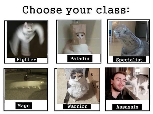 Choose your favorite. Choose your Fighter Мем. Мемы choose. Choose your Fighter Мем коты. Choose your Fighter Двач.