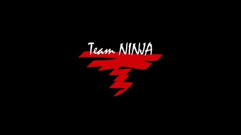 Team ninja