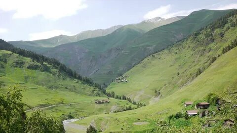 Кеди село