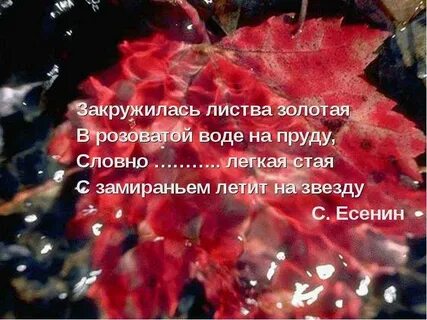 Закружилась листва золотая метафоры