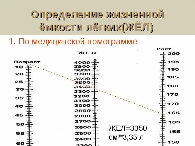 Жизненная емкость у женщин