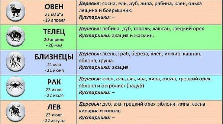 Гороскоп близнецы 7 апреля. Дерево по гороскопу. Деревья по гороскопу знаков зодиака. Какой дерево по знаку зодиака. Овен дерево по гороскопу для женщины.