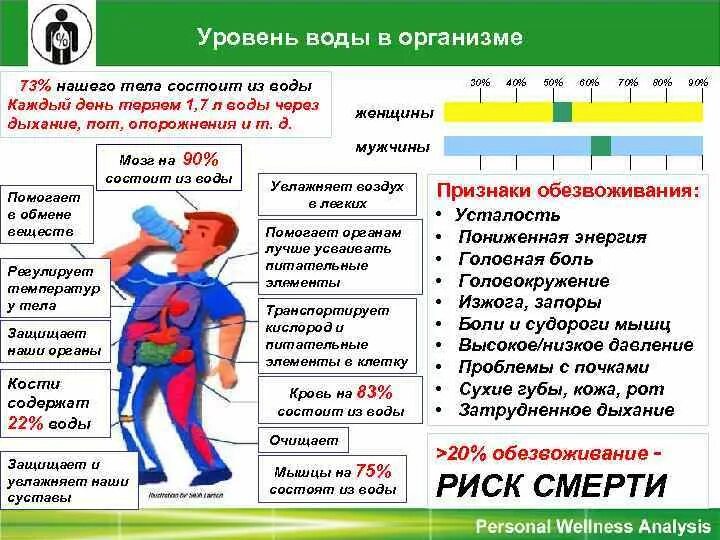 Процент воды в организме норма. Норма воды в теле человека. Процентное содержание воды в организме норма. Норма содержания воды в теле человека. Содержание жира воды в организме