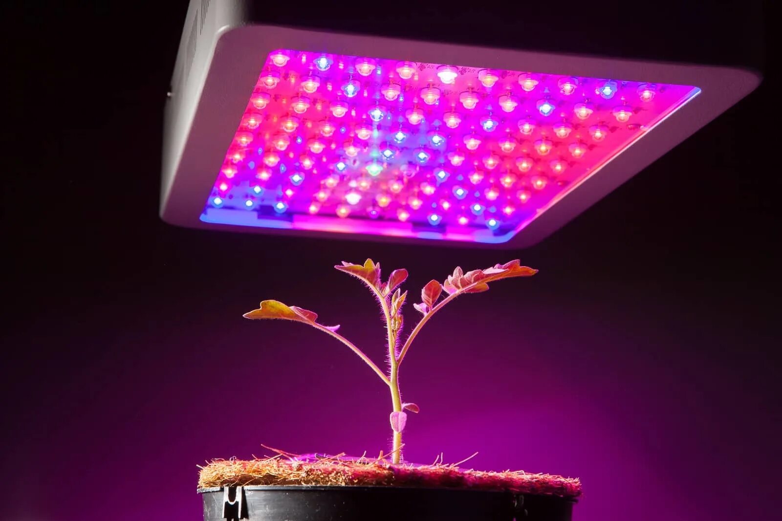 Led grow plant. Фитолампа led grow Light. Фитолампа светодиодная 50вт. Фитолампа полный спектр. Фитолампа светодиодная General 14w.