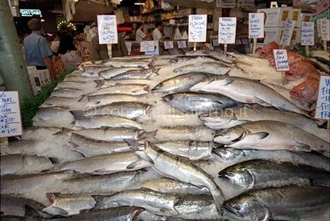 Продам рыба москва