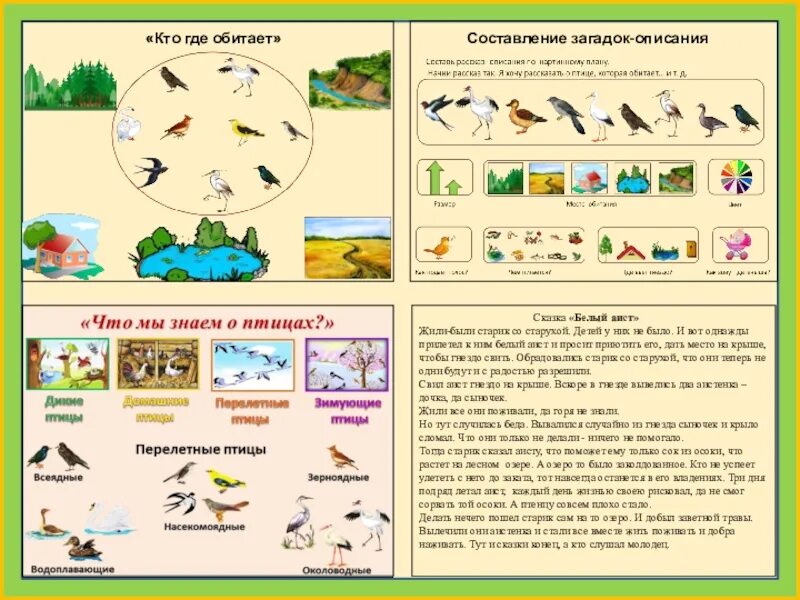 Составить рассказ как жили. Составление рассказа о птице. Составление рассказа о перелетных птицах. Схема рассказа про птиц. Составление рассказа о птицах для дошкольников.